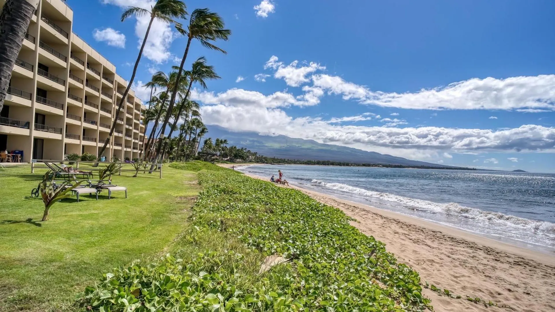 Sugar Beach 502 Kihei 0*,  Stati Uniti